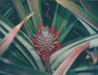 Photo6