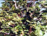 Photo4