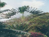 Photo4
