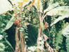 Photo2