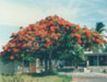 Photo1