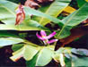 Photo10