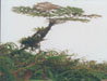 Photo2