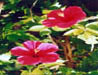 Photo7