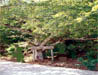 Photo3